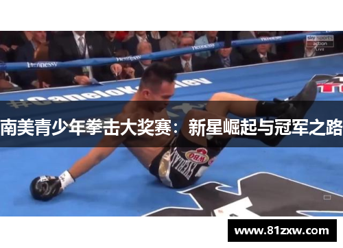 南美青少年拳击大奖赛：新星崛起与冠军之路