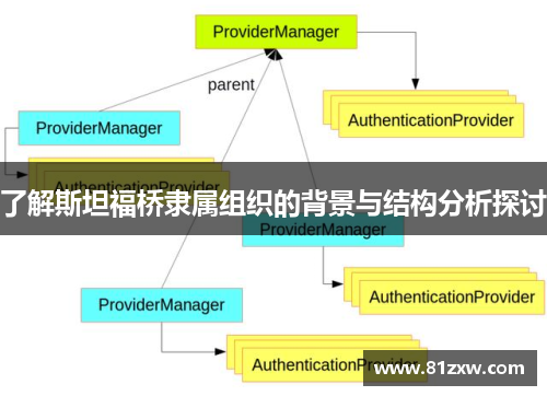 了解斯坦福桥隶属组织的背景与结构分析探讨